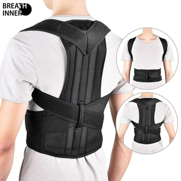 Back Support Belt